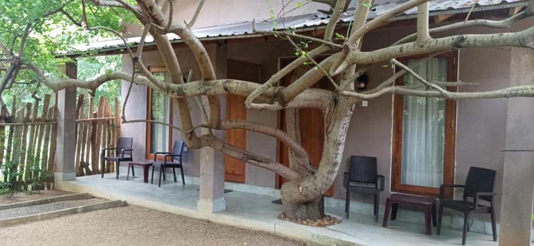 Hantara Udawalawa Udawalawe Bagian luar foto