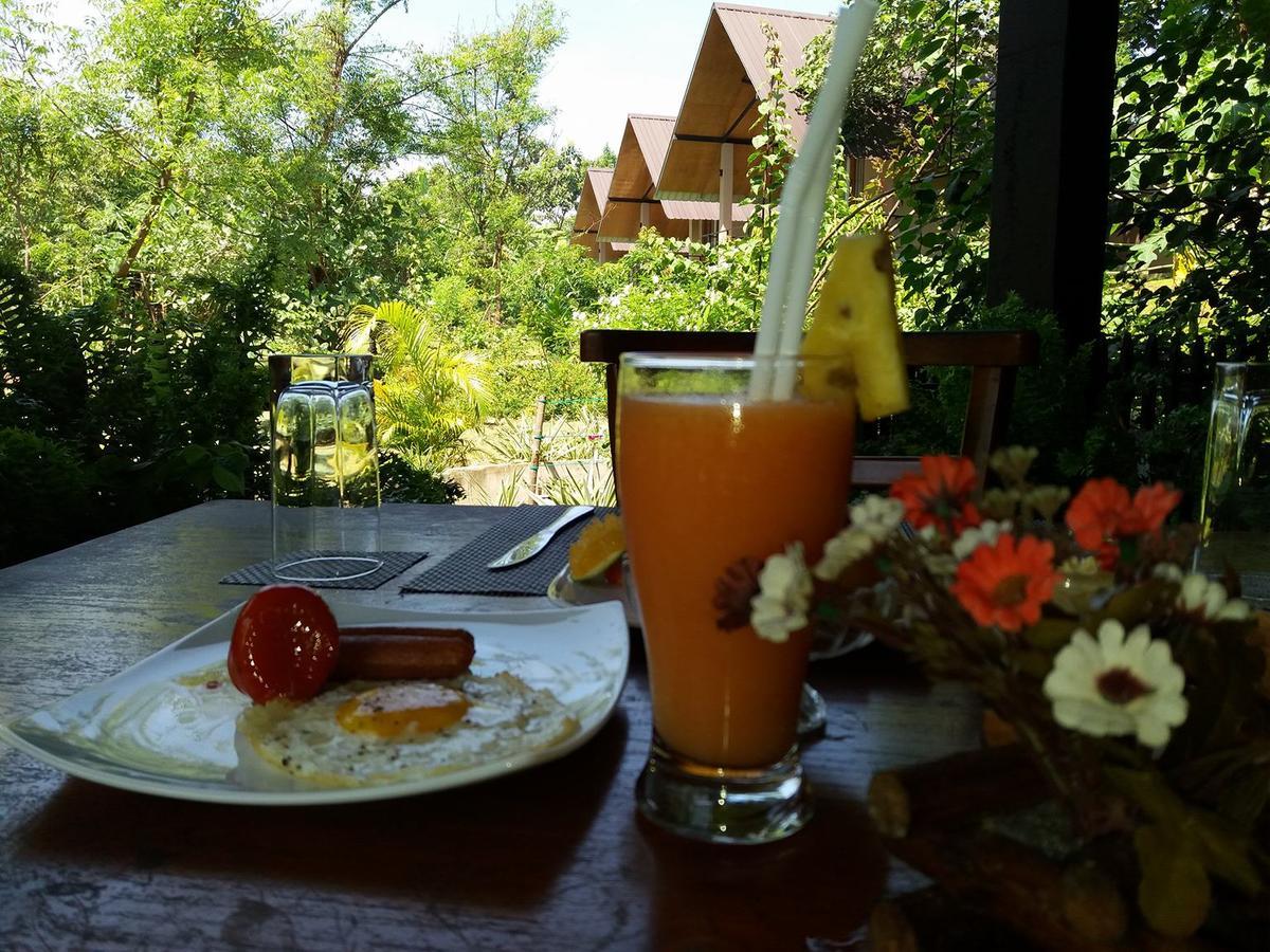 Hantara Udawalawa Udawalawe Bagian luar foto