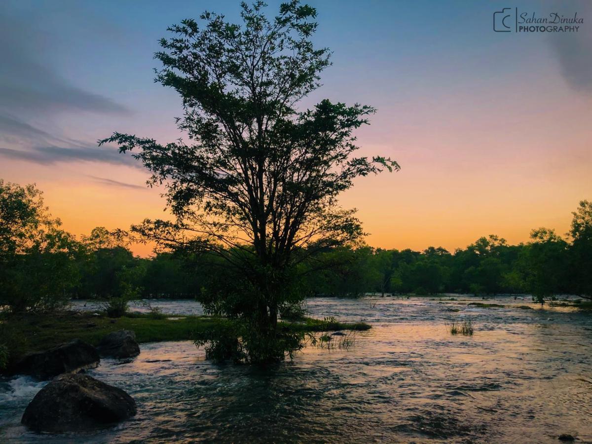 Hantara Udawalawa Udawalawe Bagian luar foto