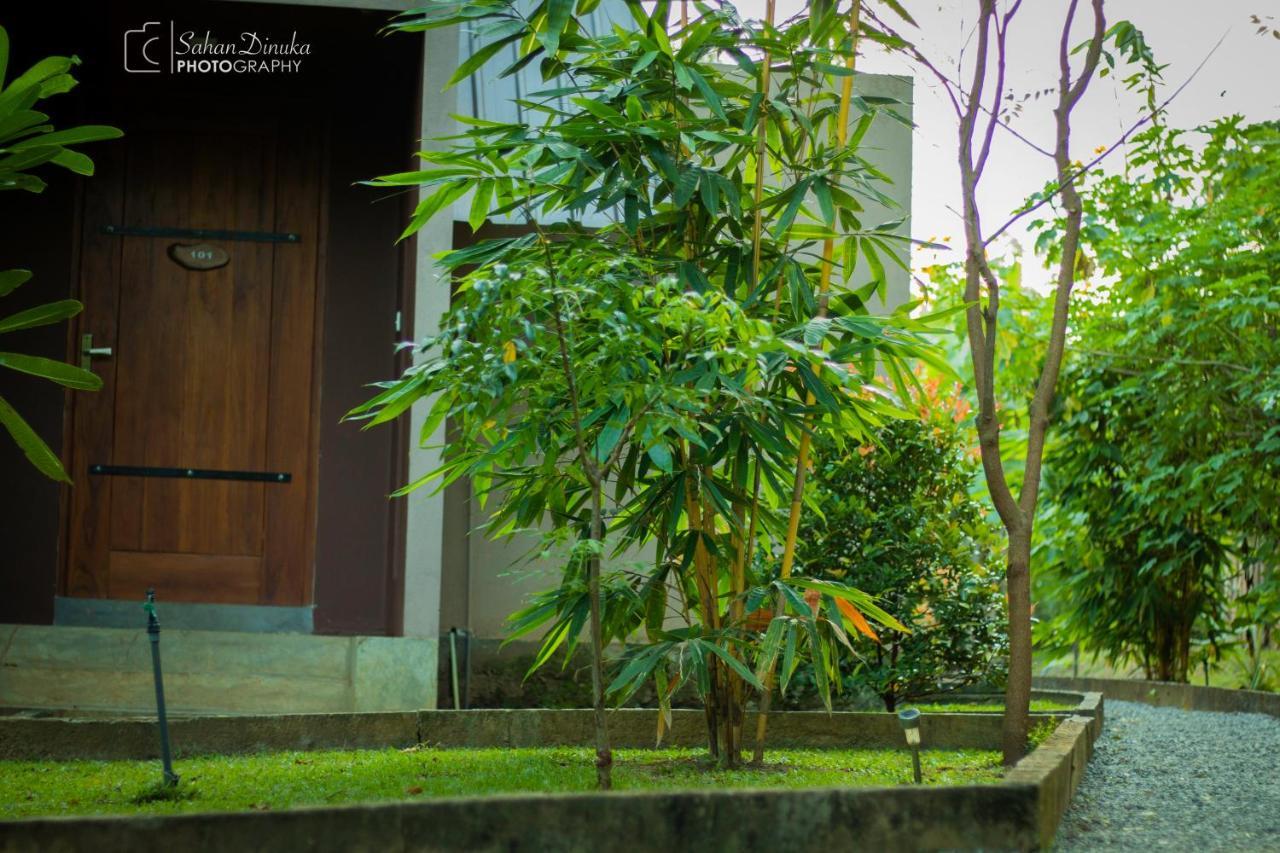 Hantara Udawalawa Udawalawe Bagian luar foto